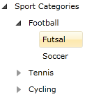 WPF RadTreeView Sample Declaration