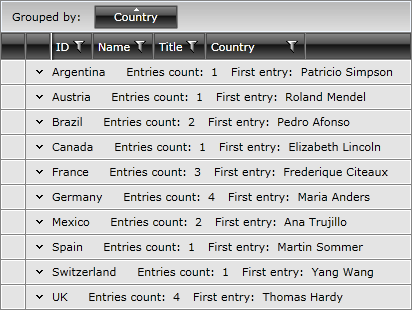 Telerik WPF DataGrid with GroupDescriptor and AggregateFunctions defined