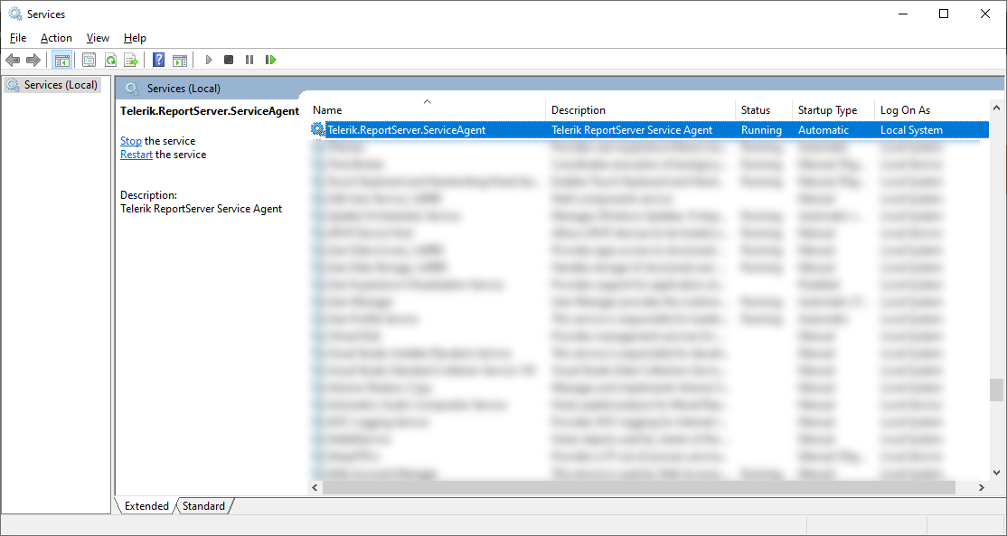 Scrolling to the Telerik.ReportServer.ServiceAgent service instance.
