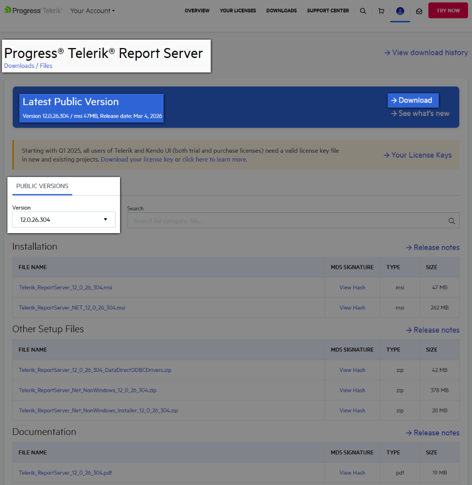 Download the latest Report Server version or select another available one from the list.