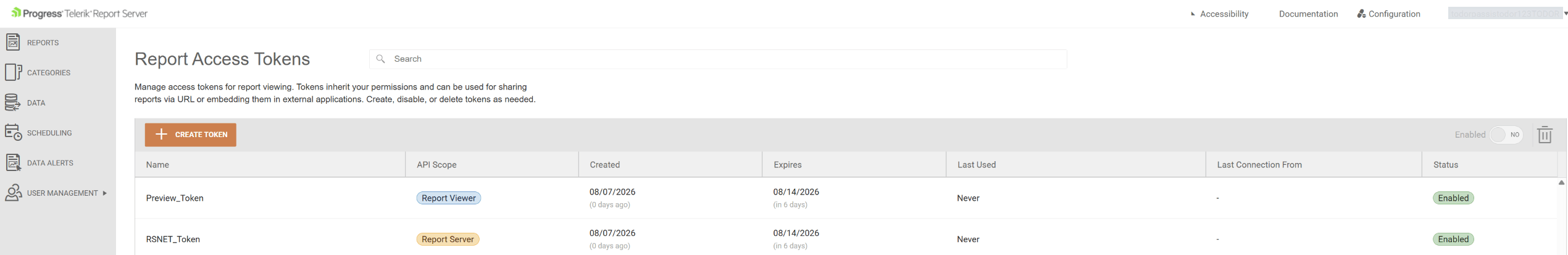The Report Viewer and Report Server Personal Access Tokens in the Report Access Tokens menu for the logged in user.