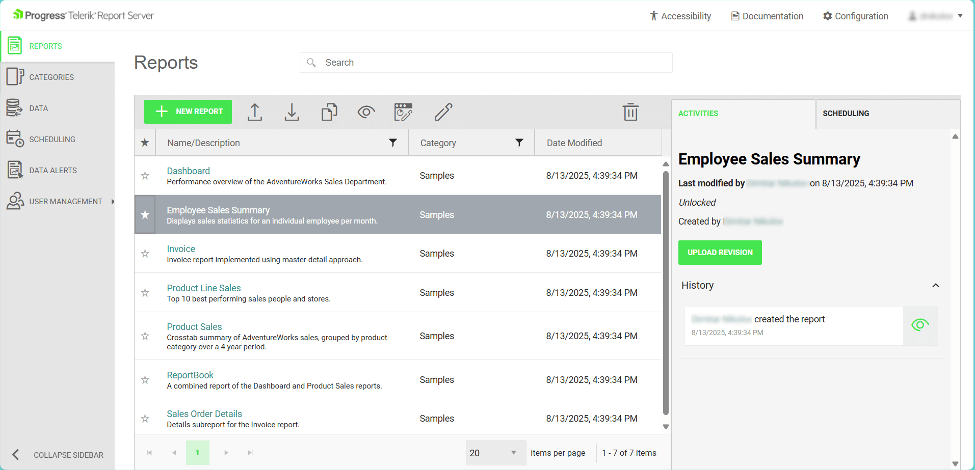 Overiew of the Report Server for .NET with changed colors