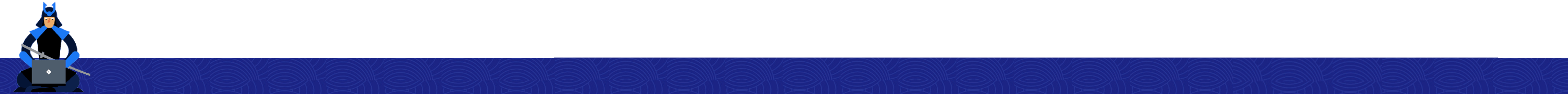 FiddlerSlimBanner1
