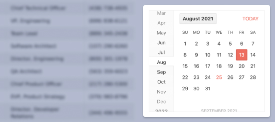 ASP.NET AJAX Calendar
