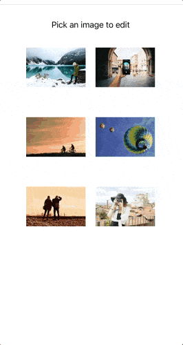 Teleril Xamarin ImageEditor programmatic controls imageeditor brightness, Saturation, crop are demonstrated