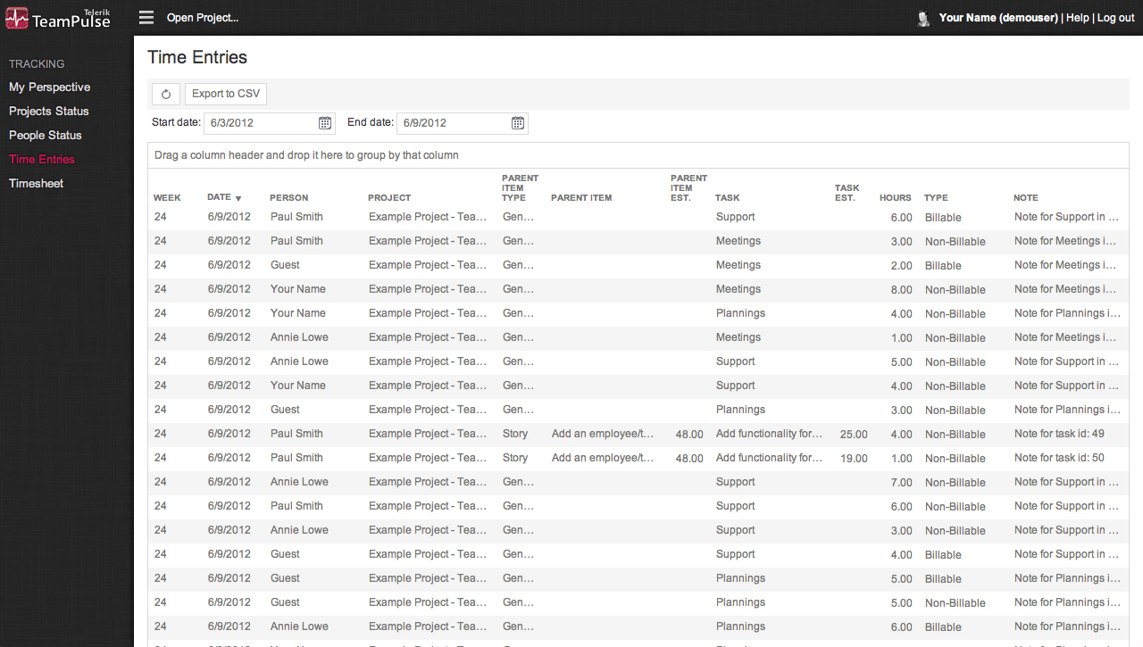 TeamPulse Time Tracking - Time Entries View
