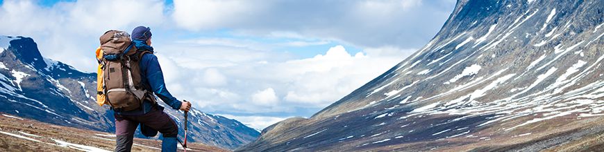 The Road to Improving the Digital IQ of Your Organization 870x220