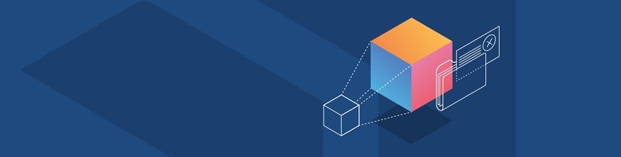 Striking the Software Standardization Balance_870x220