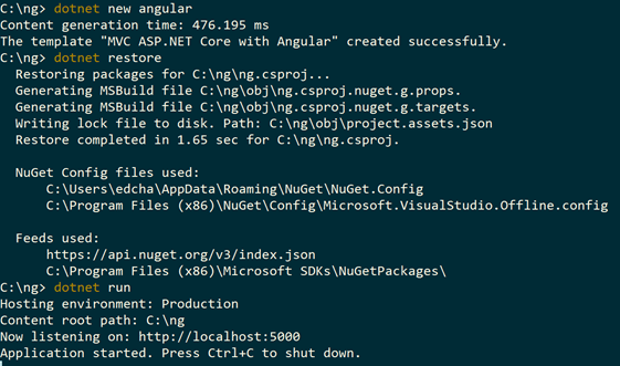 using dotnet cli