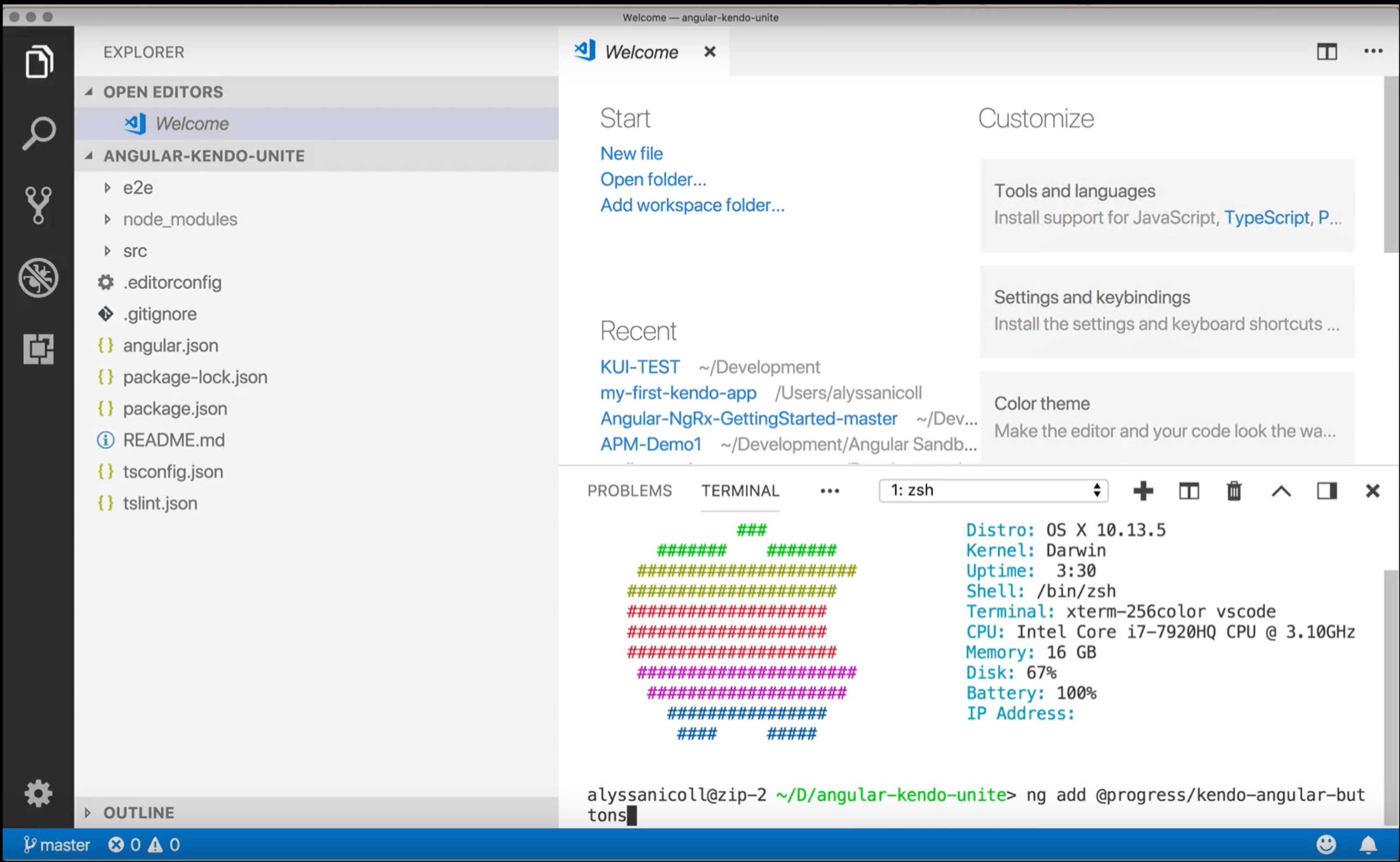 screenshot showing using the terminal inside vscode