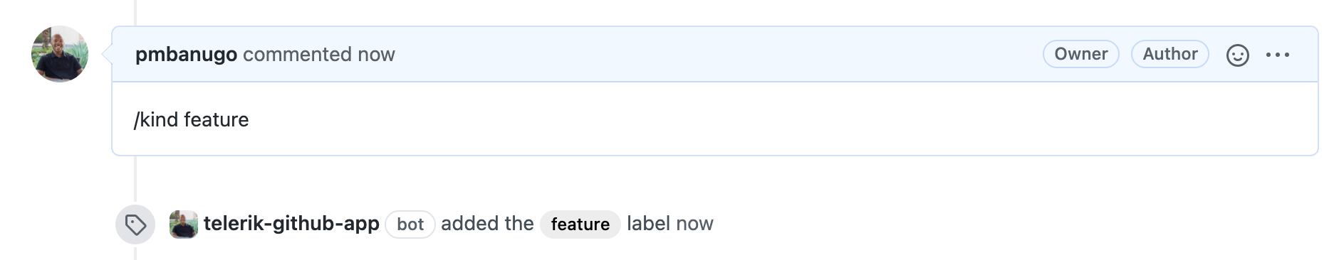 slash command To demonstrate a slash command, pmbanugo commented, “/kind feature,” and the telerik-github-app bot added the feature label.