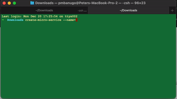create-micro-service create-micro-service - video output when create-micro-service command runs