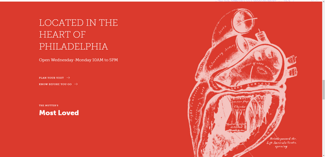 Mutter Museum website A screenshot from one of the sections on the Mütter Museum home page. It has a red background and a detailed illustration of the human heart on the right. The headline on the left reads “Located in the Heart of Philadelphia” and it’s followed by information on operating hours Wednesday to Monday 10 a.m. to 5 p.m.