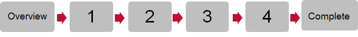 The same process as before but steps 2 and 4 are now part of the single path that leads from Overview to Complete