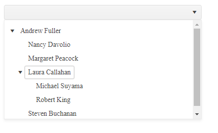 A treeview dropdown list with Andrew Fuller as the top node. That node has been expanded showing the four people nested under his node. One of those people has two people reporting to her – that node has also been expanded to show two more items nested under her.