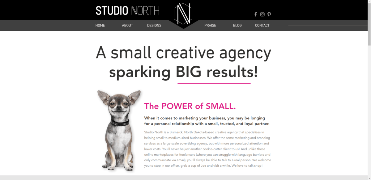 Studio North hero section The hero section on the Studio North website reads: “A small creative agency sparking BIG results!” Below it is a photo of a smiling chihuahua with a subheadline in pink that says “The POWER of SMALL”.