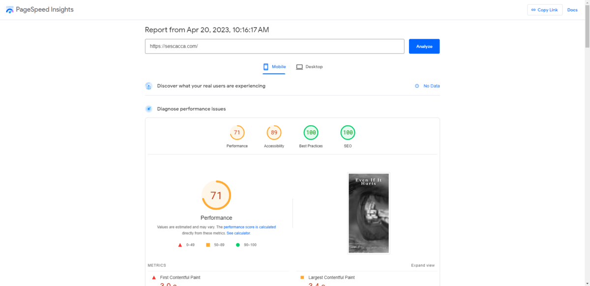 Page Speed Insights score An example of the report a user will see when they use PageSpeed Insights. The default screen shows their Mobile scores. In this example, the site received a 71 for Performance, 89 for Accessibility, 100 for Best Practices, and 100 for SEO.