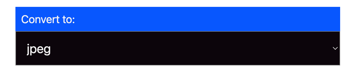 format selector component Format selector component - convert to: jpeg