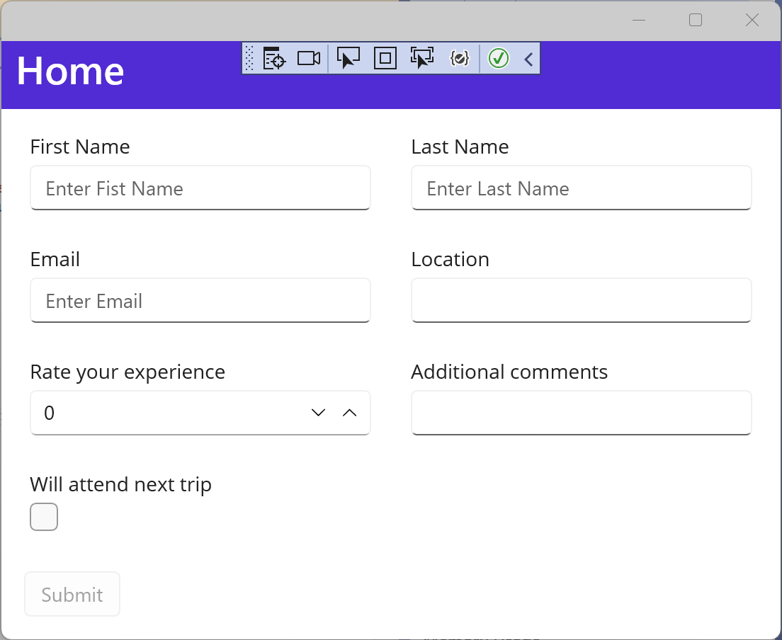 An autogenerated Telerik dataform An example of an autogenerated Telerik dataform