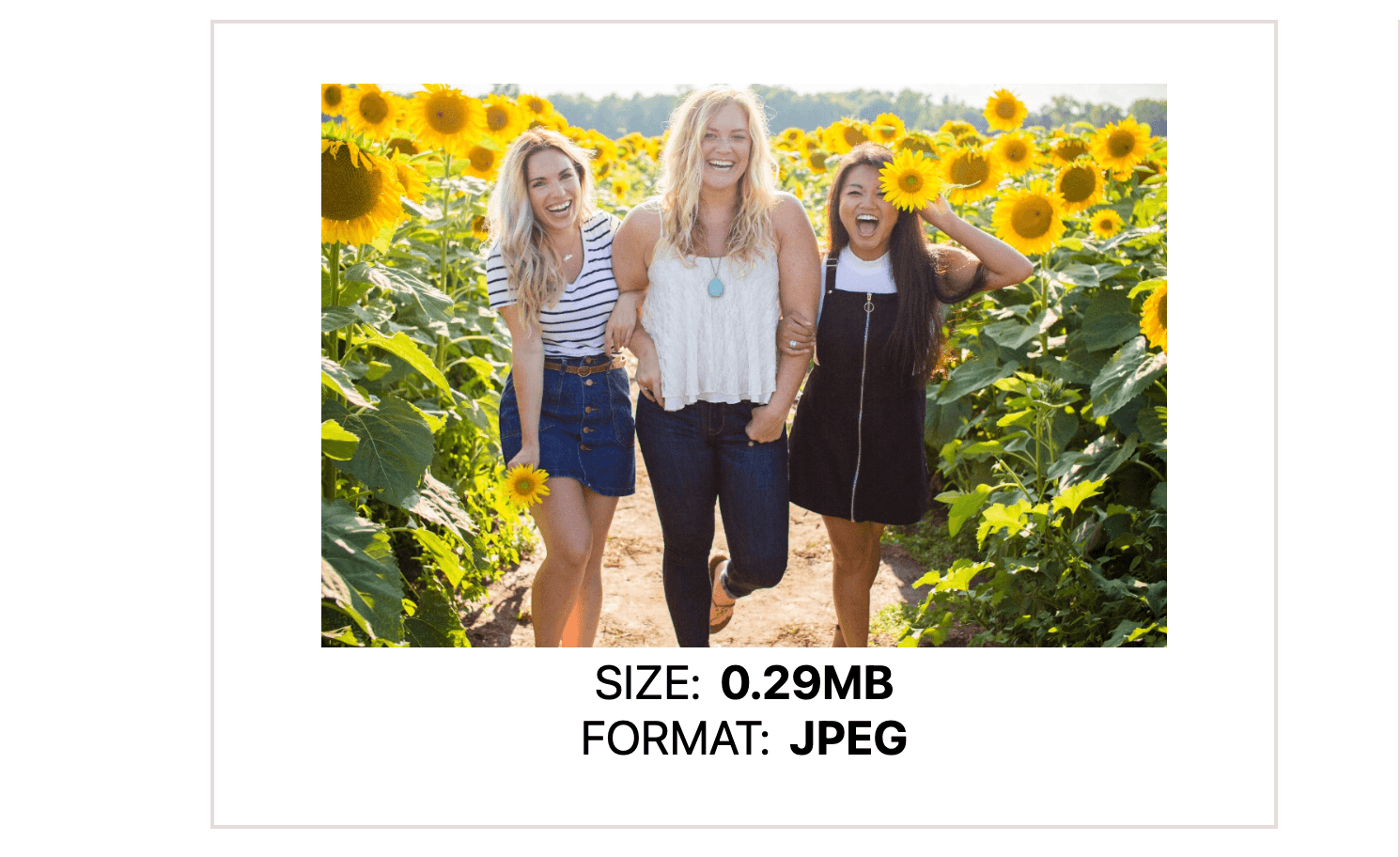 image preview component Image preview component - image, size: 0.29MB, format: JPEG