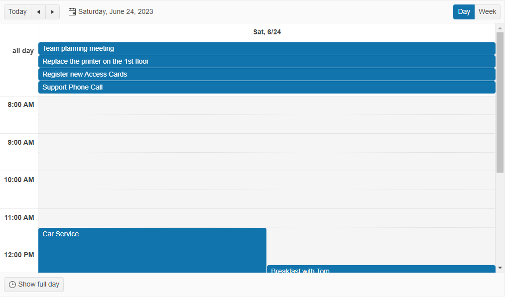 calendar scheduler showing saturday 6/24 with all-day events and then hourly blocks with caer service starting at 11:30