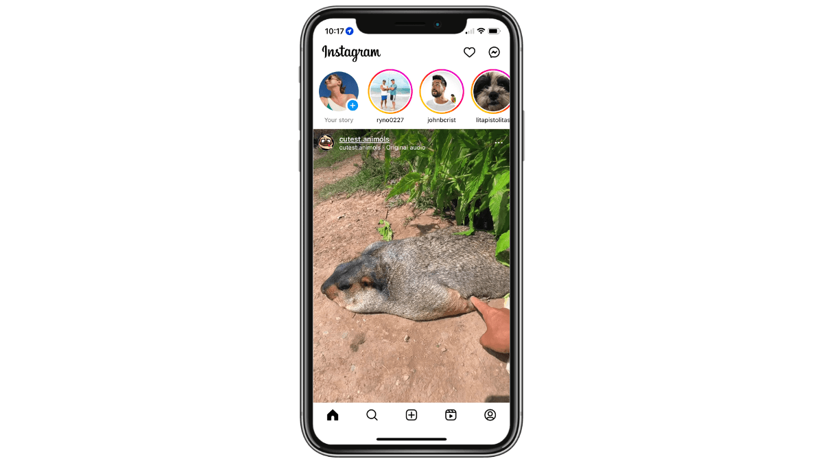 A screenshot from the Instagram app shows icons in the top-right corner as well as along the bottom. There’s a heart and messenger icon in the top-right. Along the bottom are home, magnifying glass, add/create, reels, and profile icons.