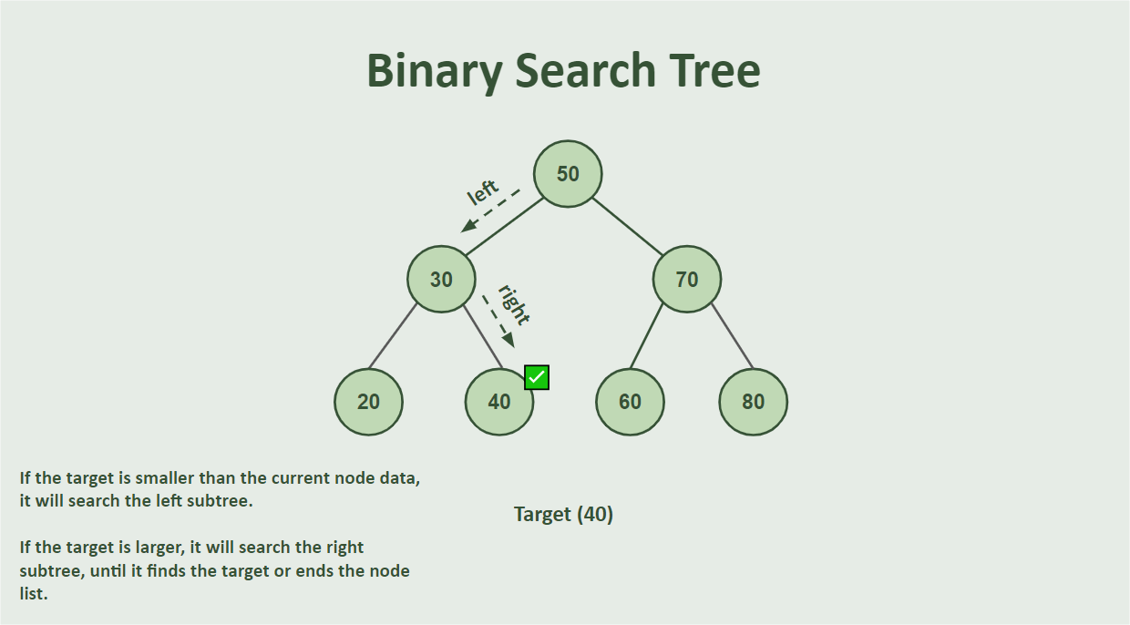 Binary Search Tree Representation Binary Search Tree Representation - From 50 at the top, we go left to 30 (not right to 70), and from 30 we go right to 40 not left to 20