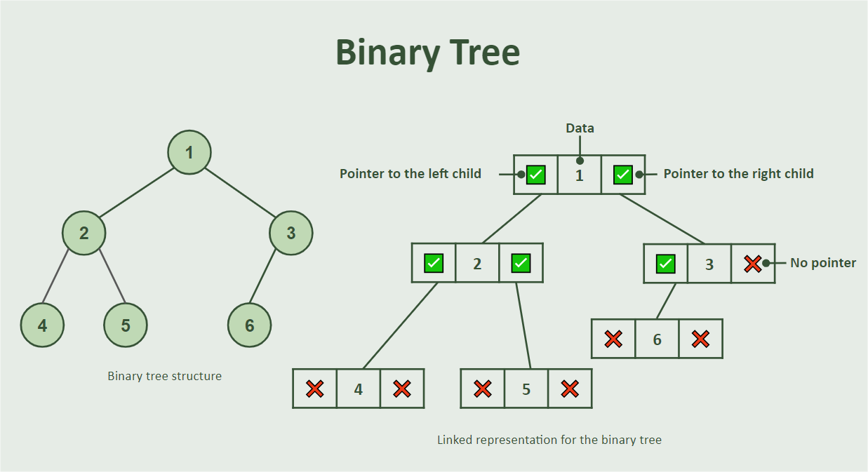 Binary Tree Representation Binary Tree Representation. 1 - Data branches to children 2 and 3. 2 branches to 4 and 5. 3 branches to 6.