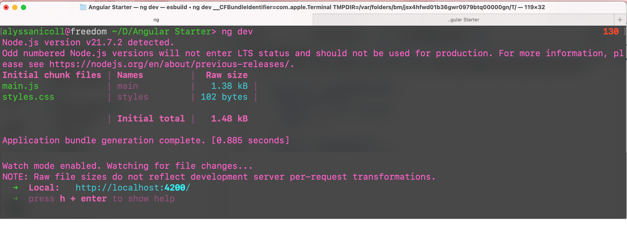 using ng dev to start the dev server