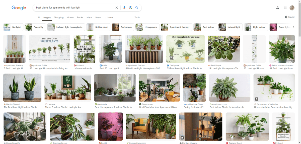Google Images search plants A Google Images search for “best plants for apartments with low light”. We see three rows of results, some with images of houseplants and others with custom graphics and infographics depicting the best plants to choose.