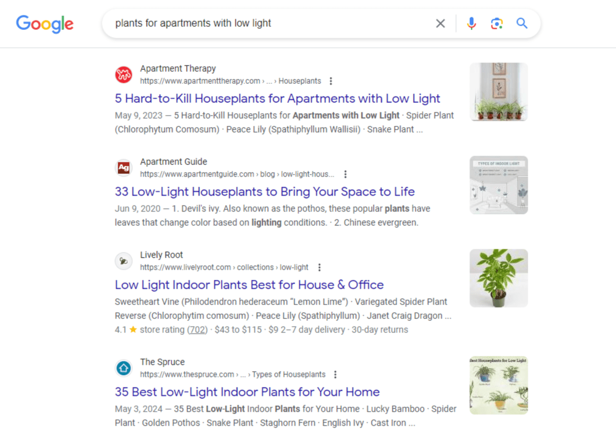 Google unique plant images in search In the search results for “plants for apartments with low light”, we see pages from Apartment Therapy, Apartment Guide, Lively Root, and The Spruce, all with accompany plant photos or illustrations.