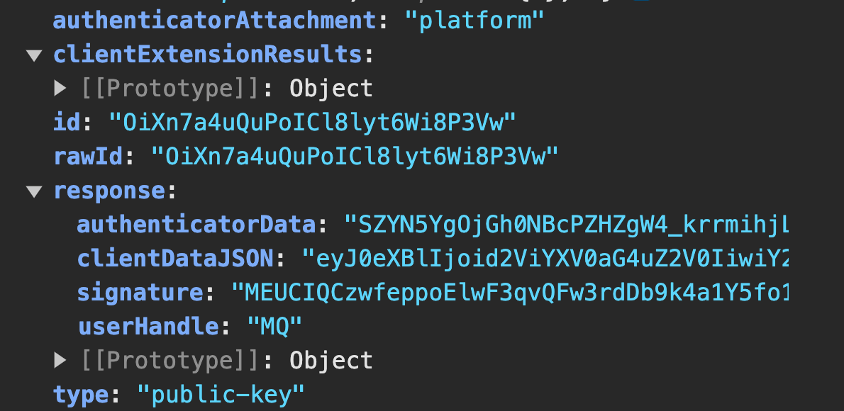 Authentication assertion authentication assertion
