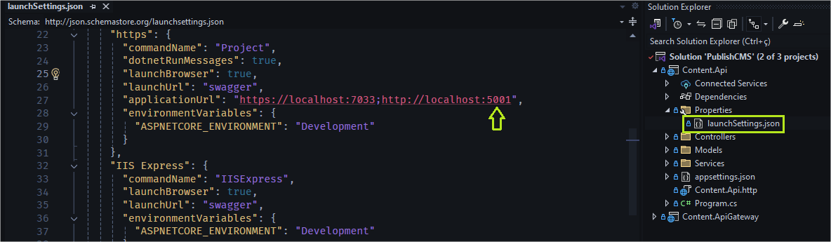 setting api port Setting API port