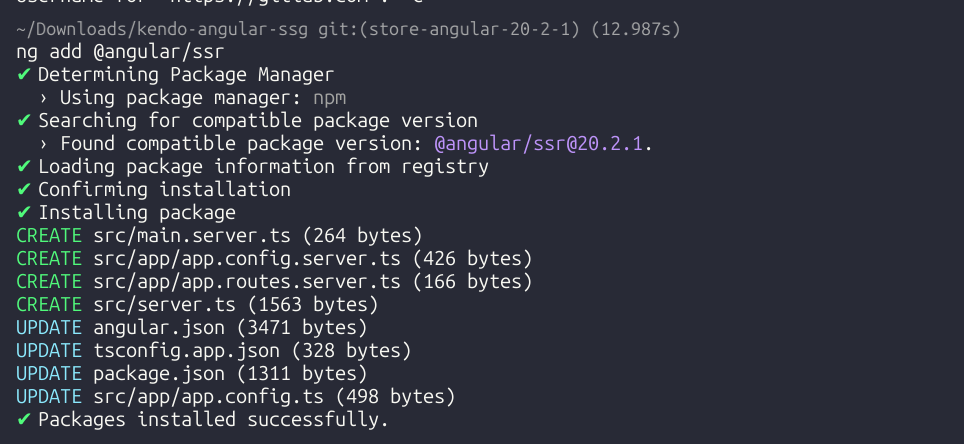 ng add @angular/ssr command
