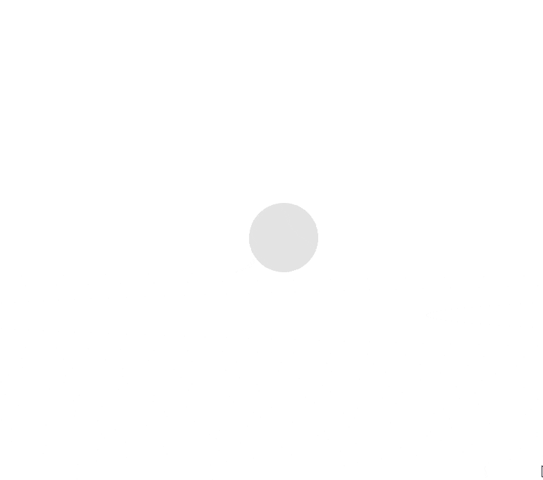 The Skeleton component displaying a pulsing circular animation