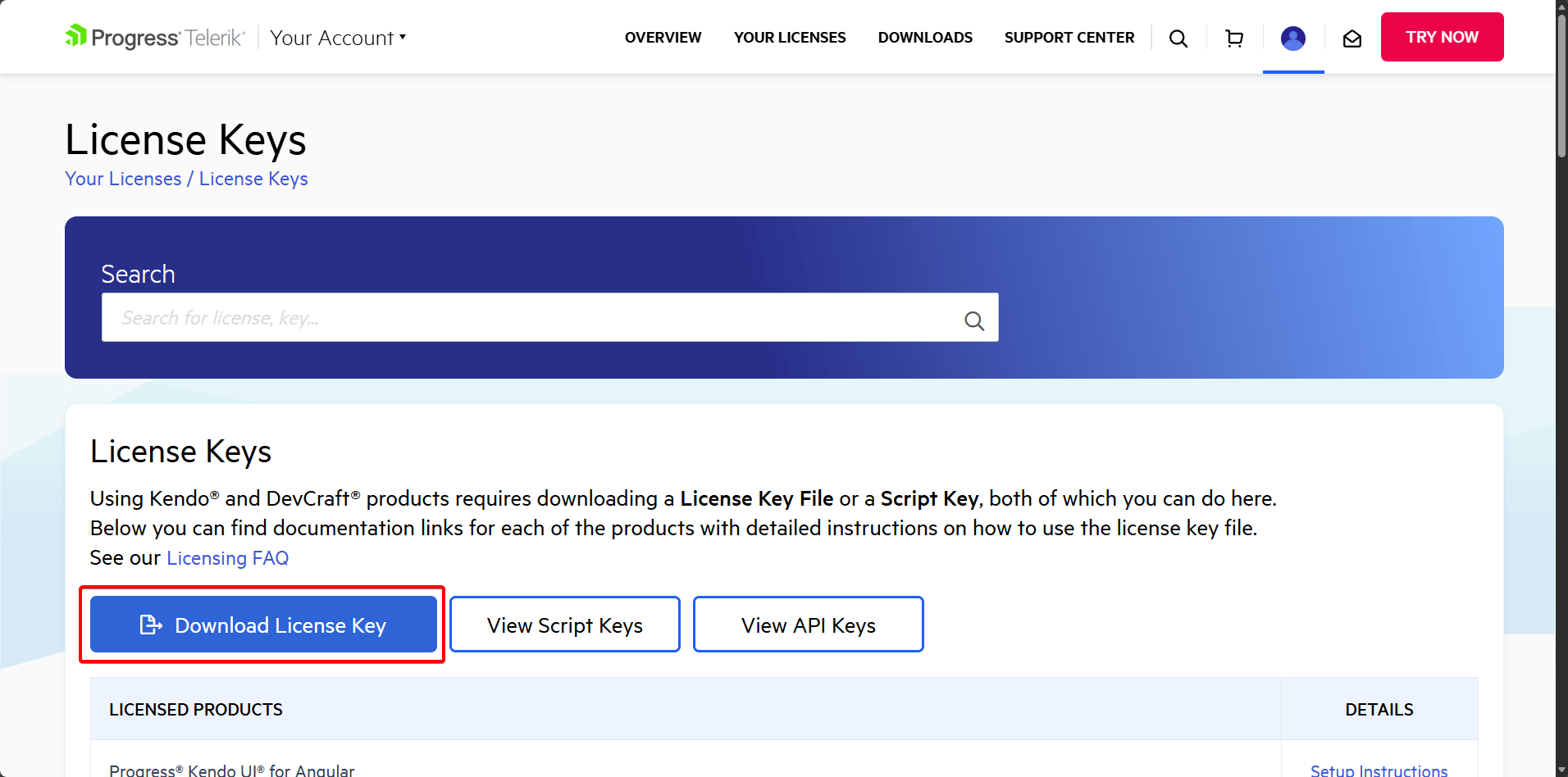 Download license key button on settings page