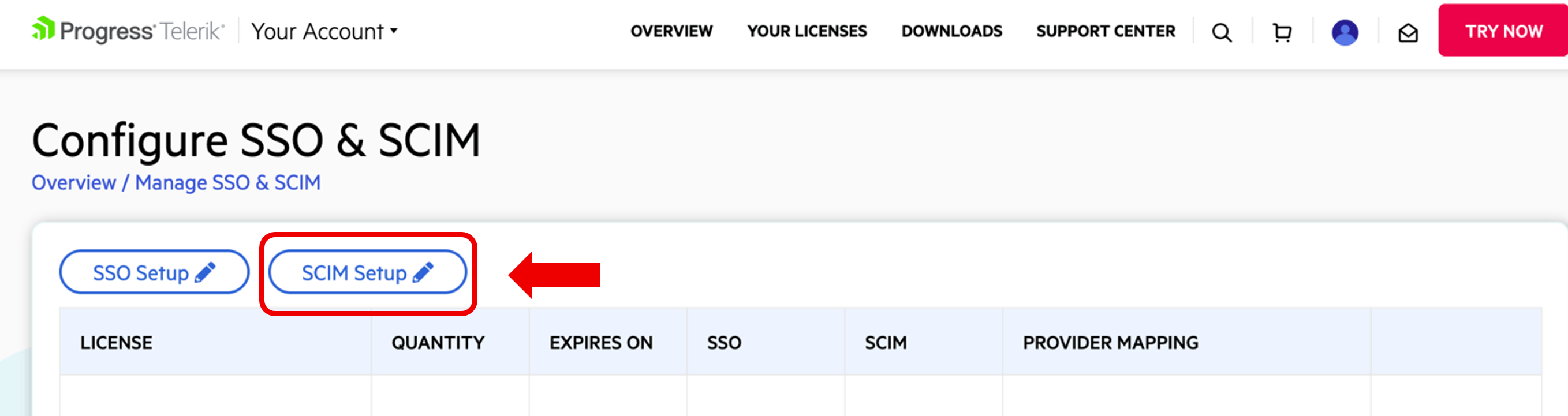Configure SSO & SCIM: SCIM Setup