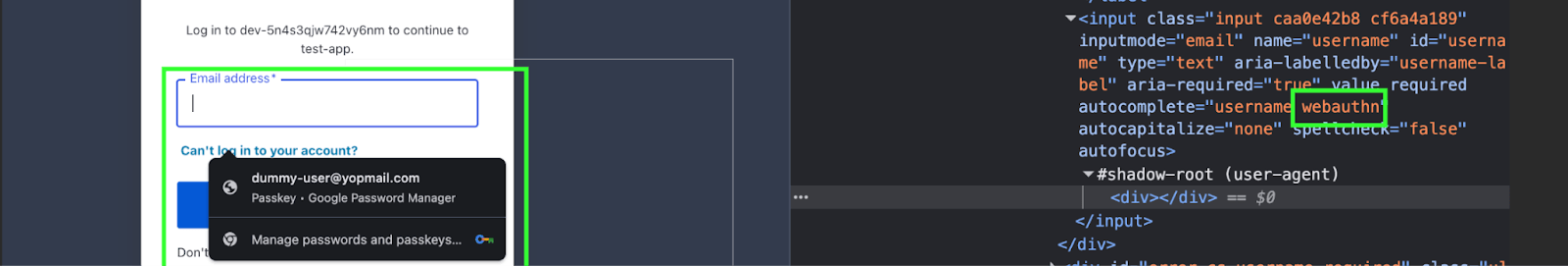 Webauthn auto-complete attribute Webauthn auto-complete attribute