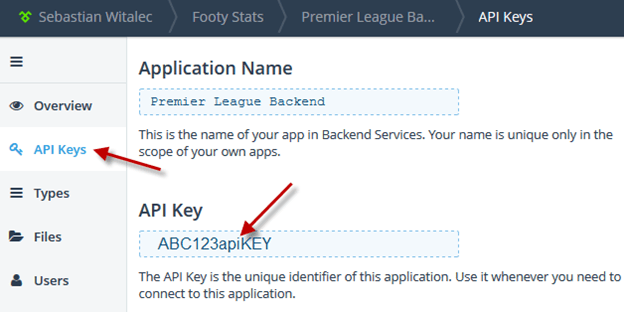 API Key