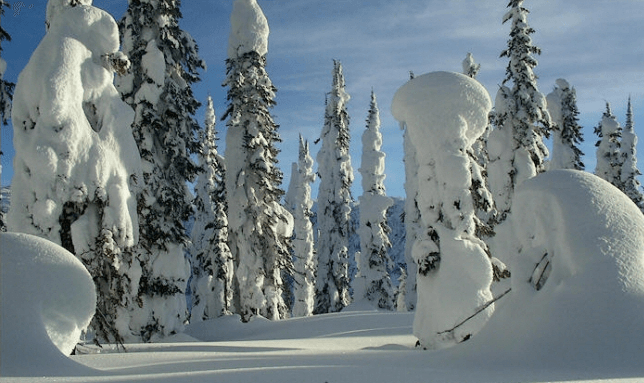 Canada Is Cold