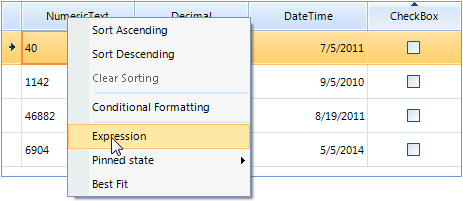 Invoking Rad Expression Editor for RadGridView for Windows Forms