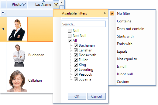 Telerik RadGridView for WinForms - Q3 2010 Filtering