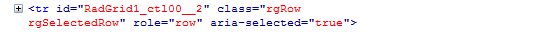 RadGrid selected row with WAI-ARIA support