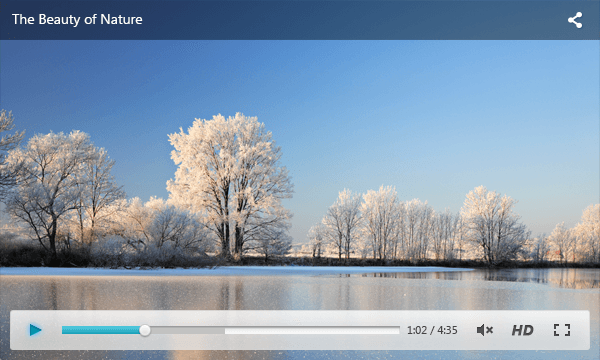 MediaPlayer Media Player