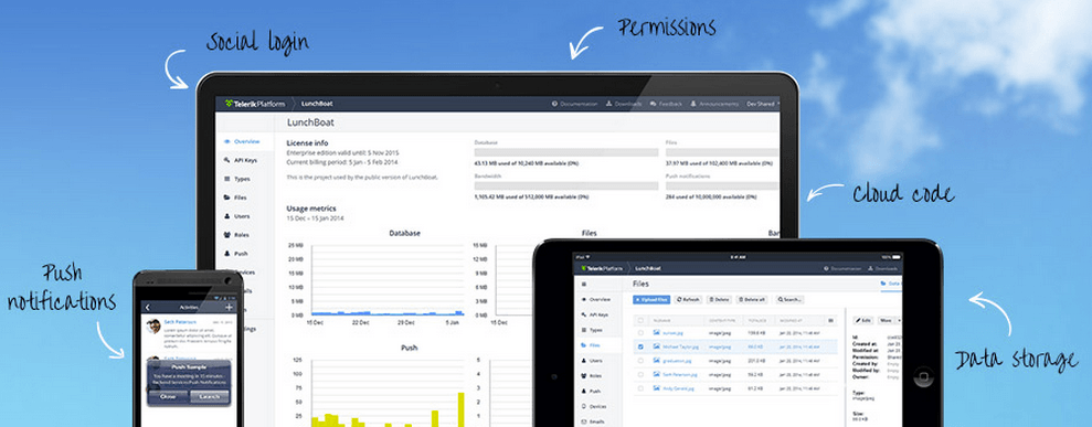 Visualization of the services provided by Telerik Backend Services