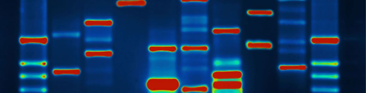 dna_rwd_header