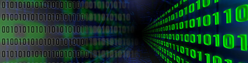 dummy_data_header