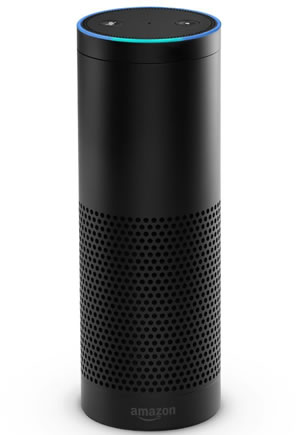 The Amazon Echo