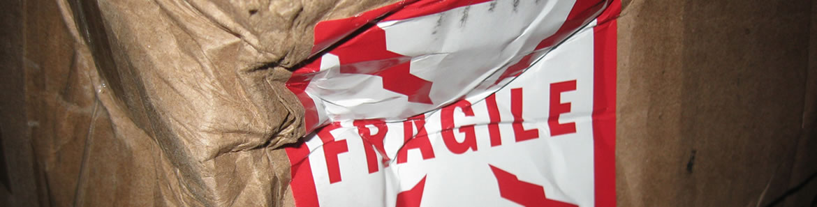 javascript_fragile_header
