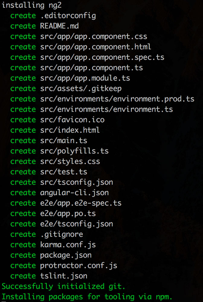 installation output for ng new